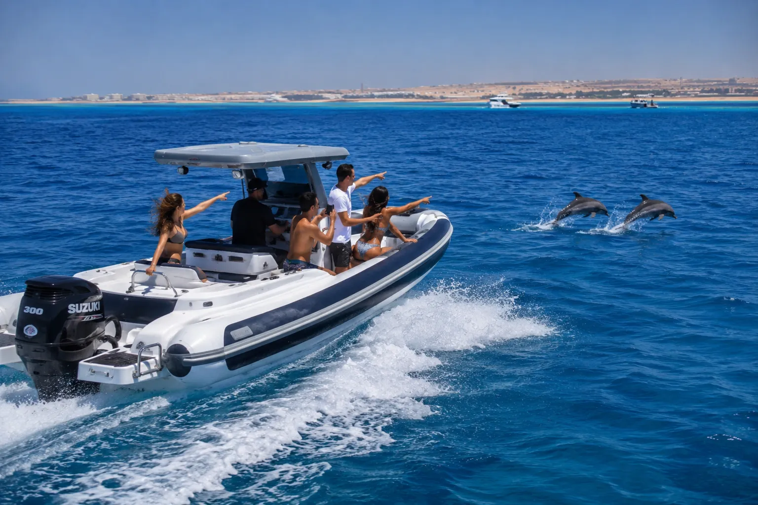 People on a private speedboat watching wild dolphins on the Red Sea in Hurghada
